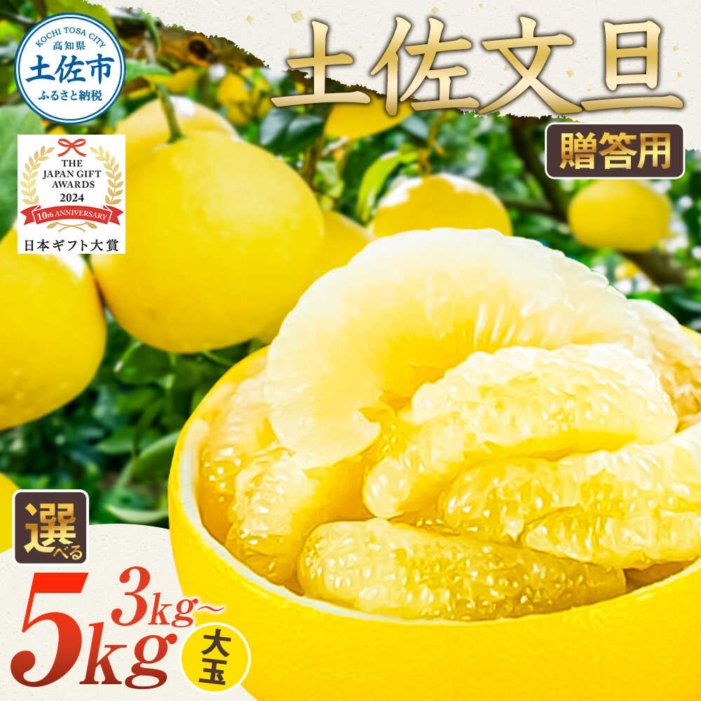 【ふるさと納税】【先行予約】【選べる内容量】園主こだわりの土佐文旦 贈答用 3〜5kg 土佐文旦 高知 柑橘 フルーツ ぶんたん 果物 甘い 旬 産直 お取り寄せ 季節限定 特大 プレゼント 高知県土佐市/やの一果彩[BQAC005]