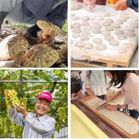 【体験型昼食ランチ4名様】農家レストラン(ジビエフルコース)と西阿波体験が楽しめます　【1591119】