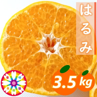 愛咲果樹園「はるみ」約3.5kg【C71−29】【1619092】