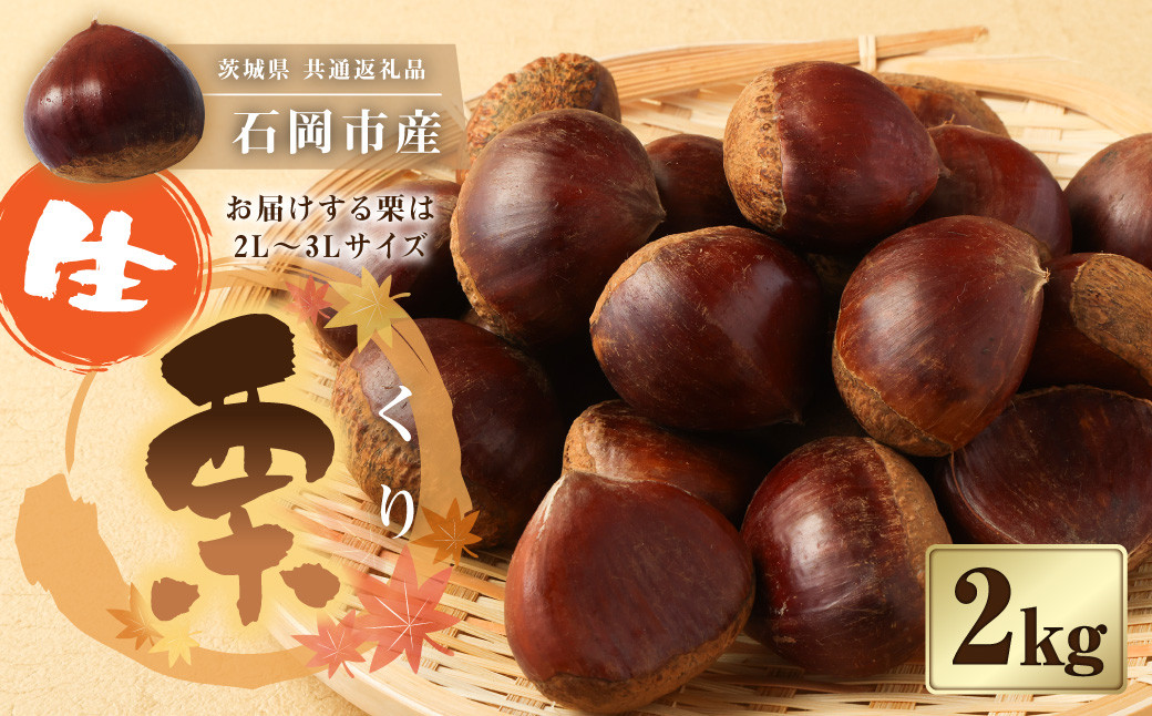 生栗2kg (茨城県共通返礼品 石岡市産) 