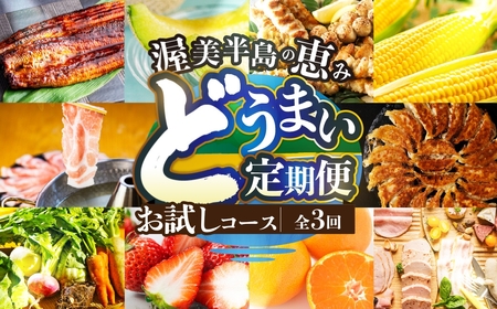 【定期便】どうまい定期便 全3回 お試しコース （ うなぎ 豚肉 サーモン) 