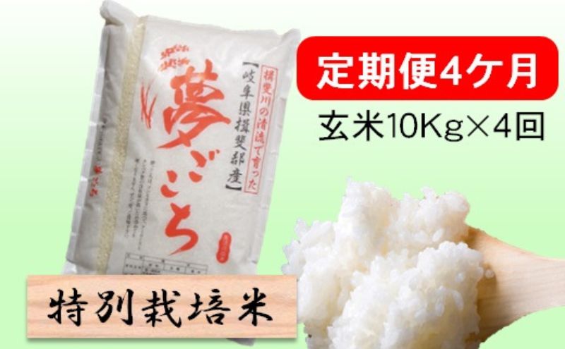 特別栽培米★[定期便] 4カ月★毎月 玄米10kg【夢ごこち】 お米 ブランド米 銘柄米 ご飯 モッチリ 低アミロース米 冷めても美味しい