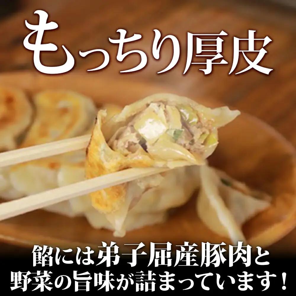 よだれ餃子 10個入 2パック 計20個 餃子 ぎょうざ ギョウザ ギョーザ 生餃子 冷凍 中華 豚 肉 野菜 厚皮 焼き 惣菜 おかず 昇龍軒 送料無料 北海道 弟子屈町 8000円 1810