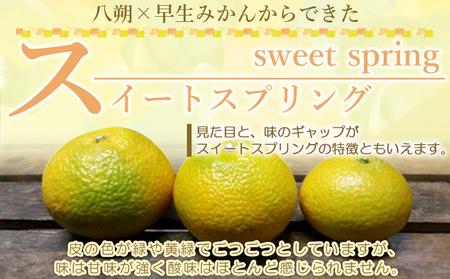 ＜愛媛県西予市産 スイートスプリング 家庭用 約8kg＞ 訳あり ワケアリ 果物 くだもの ミカン 蜜柑 柑橘 甘い おいしい フルーツ サイズ不揃い ご自宅用 果実 果肉 特産品 段畑みかん 愛媛県