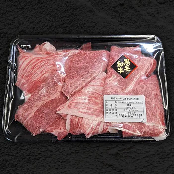 【3か月定期便】黒毛和牛欲張りセット（切り落とし250g・ハンバーグ 120g×8個） No.634