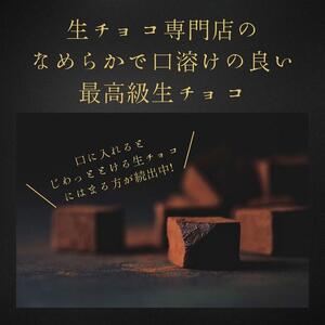 大容量 訳あり 生チョコレート 500g ビター