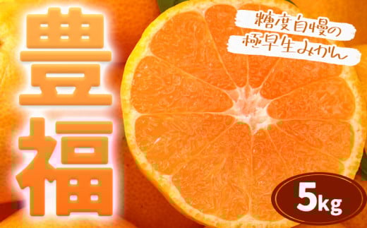 極早生みかん 「 豊福 」 5kg 箱入り 都呂々みかん生産者グループ《10月中旬-11月下旬頃出荷》 フルーツ 果物 くだもの 柑橘 みかん ミカン 蜜柑 熊本県 苓北町