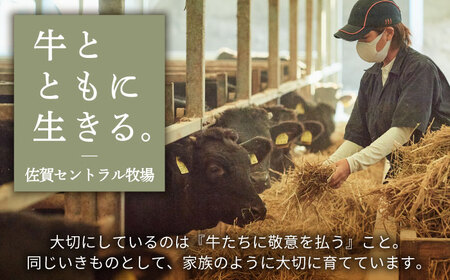 ビーフジャーキー 計300g（50g×6袋）  / ビーフジャーキー [IAH269]