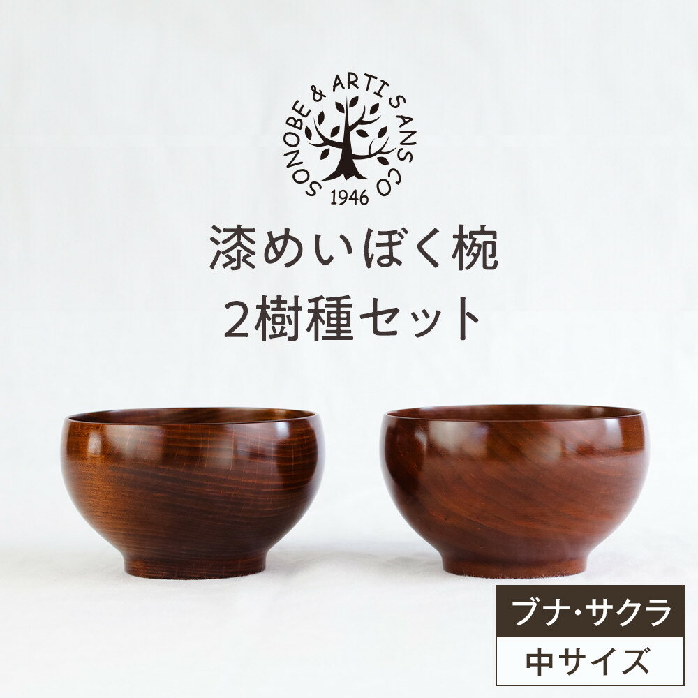 漆めいぼく椀 中 2樹種セット(ブナ・サクラ) 【 お椀 汁椀 木製 神奈川県 小田原市 】
