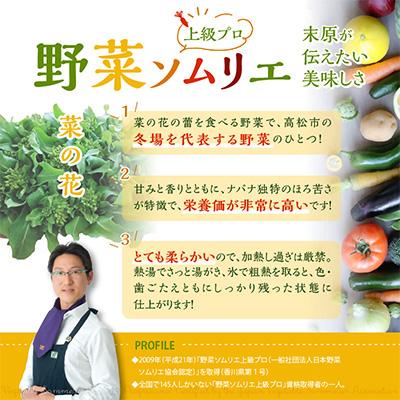 ふるさと納税 高松市 【先行受付2026年】菜の花(パック入り)　約600g |  | 01