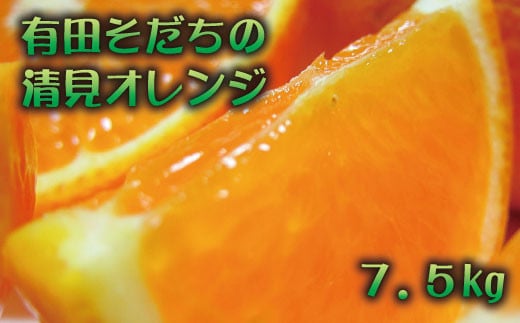 【2025年3月上旬～発送】有田育ちの完熟清見オレンジ(ご家庭用)　約7.5kg【ard018A】