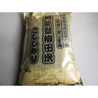 ふるさと納税 能登町 令和7年産　奥能登柳田米こしひかり5Kg　精米