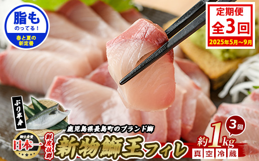 ＜定期便・毎月 全3回＞鰤王フィレ 定期便 長島町特産「鰤王」フィレ 約1.0kg×1枚 鰤 国産 鹿児島県産 産地直送【JFA】jfa-1481B