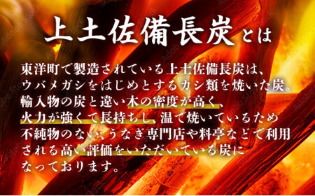 BBQ炭 上土佐備長炭（小サイズ）10kg 国産 東洋町産 白炭 高知県 東洋町 四国 家庭用 自宅用 キャンプ用品 送料無料 S177 [S-11] 【株式会社森海家】
