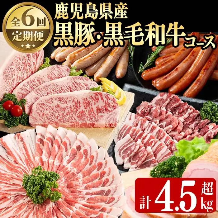 【定期便・全6回】鹿児島県産黒豚・黒毛和牛満喫コース！ 総量4.5kg超!  牛肉 豚肉 鹿児島県産 九州産 国産 黒毛和牛 ステーキ すきやき しゃぶしゃぶ 焼肉 BBQ ウインナー ソーセージ ハ
