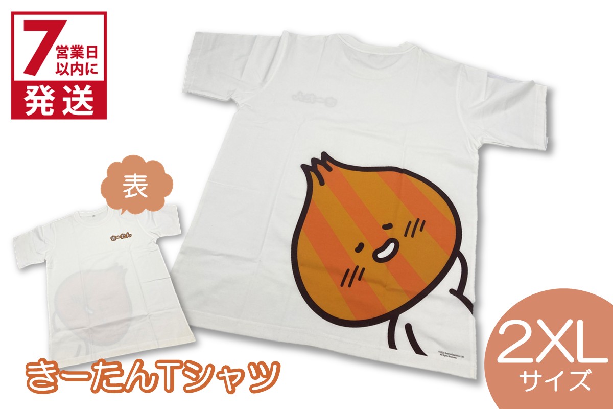 《7営業日以内に発送》きーたんTシャツ 2XLサイズ ( Tシャツ シャツ トップス 2XL イラスト 可愛い )【165-0014】