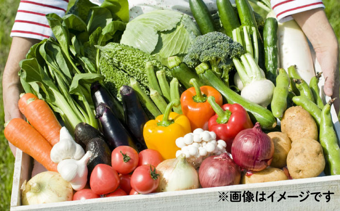 【12回定期便】野菜のプロが選ぶ 旬の野菜セット 12～13品目 野菜定期便 / 野菜 やさい セット 新鮮 / 南島原市 / 愛2農園 [SGG001]