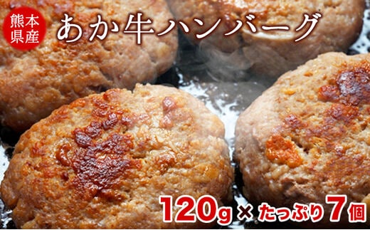 
										
										熊本の和牛 あか牛ハンバーグ 熊本県産あか牛を使用した贅沢ハンバーグたっぷり7個入り あか牛 赤牛 あかうし《30日以内に出荷予定(土日祝除く)》送料無料 ふるさと納税 訳あり 定期便 でない---gkt_fschbg_30d_24_14000_840g---
									