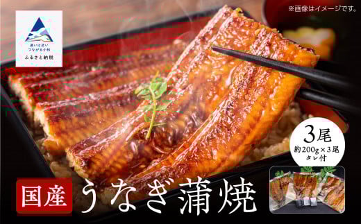 【真空パック】国産うなぎ蒲焼 約200g×3尾 かば焼き タレつき 関西風