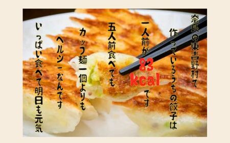 たかすみ 冷凍生餃子72個