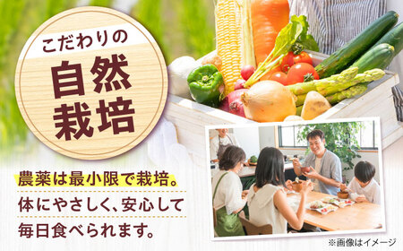 【数量限定・先行予約5】厳選！旬を味わう高槻野菜詰合せセット（10種～15種）【2024年5月発送】