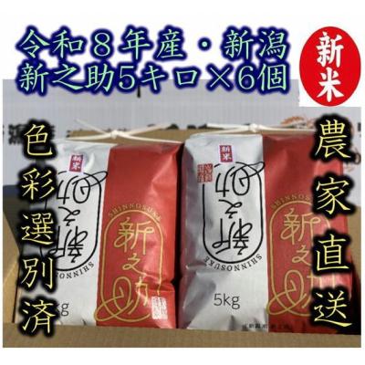 ふるさと納税 阿賀野市 【令和8年産新米】 新潟県産「新之助」 白米 30kg(5kg×6袋)
