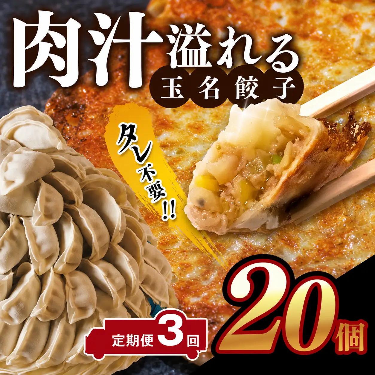【定期便3回】玉名餃子 20個 