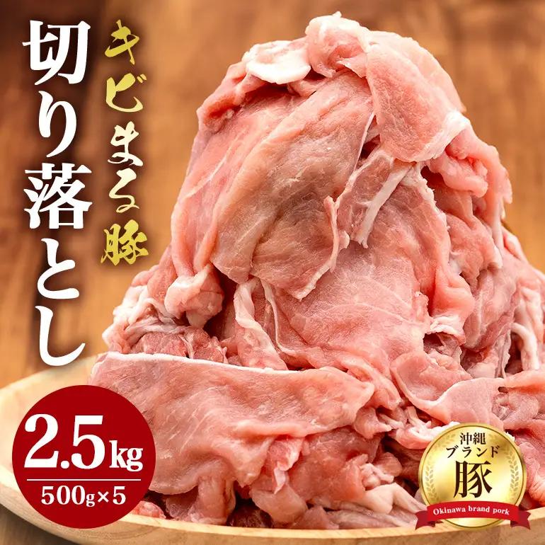 豚肉 切り落とし 2.5kgセット 小分け 500g×5 訳あり 67-2