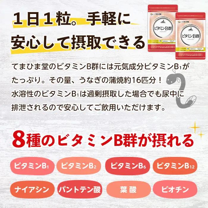 No.1300-B ＜定期便・全6回(隔月)＞ビタミンB群(2袋×6回・計12袋) 鹿児島 日置市 健康食品 サプリ 栄養バランス 食生活 安心安全 ビタミン 定期便 頒布会 【てまひま堂】