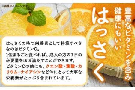 内容量：約5kg（3L～L）