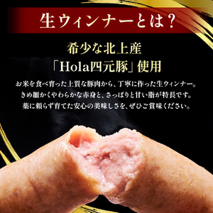 四元豚 生ウインナー 450g 6本入り×3P GIFTON お歳暮 お中元 ギフト プレゼント 母の日 父の日 誕生日 お祝い 卒業祝い 入学祝い バーベキュー BBQ 焼肉 ファミリー パーティー
