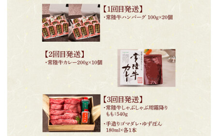 DU-114 【定期便 全8回】茨城県産 常陸牛 8ヶ月 定期便 Aコース ハンバーグ 焼肉 すき焼き しゃぶしゃぶ フィレ サーロイン ステーキ レトルトカレー【肉のイイジマ】