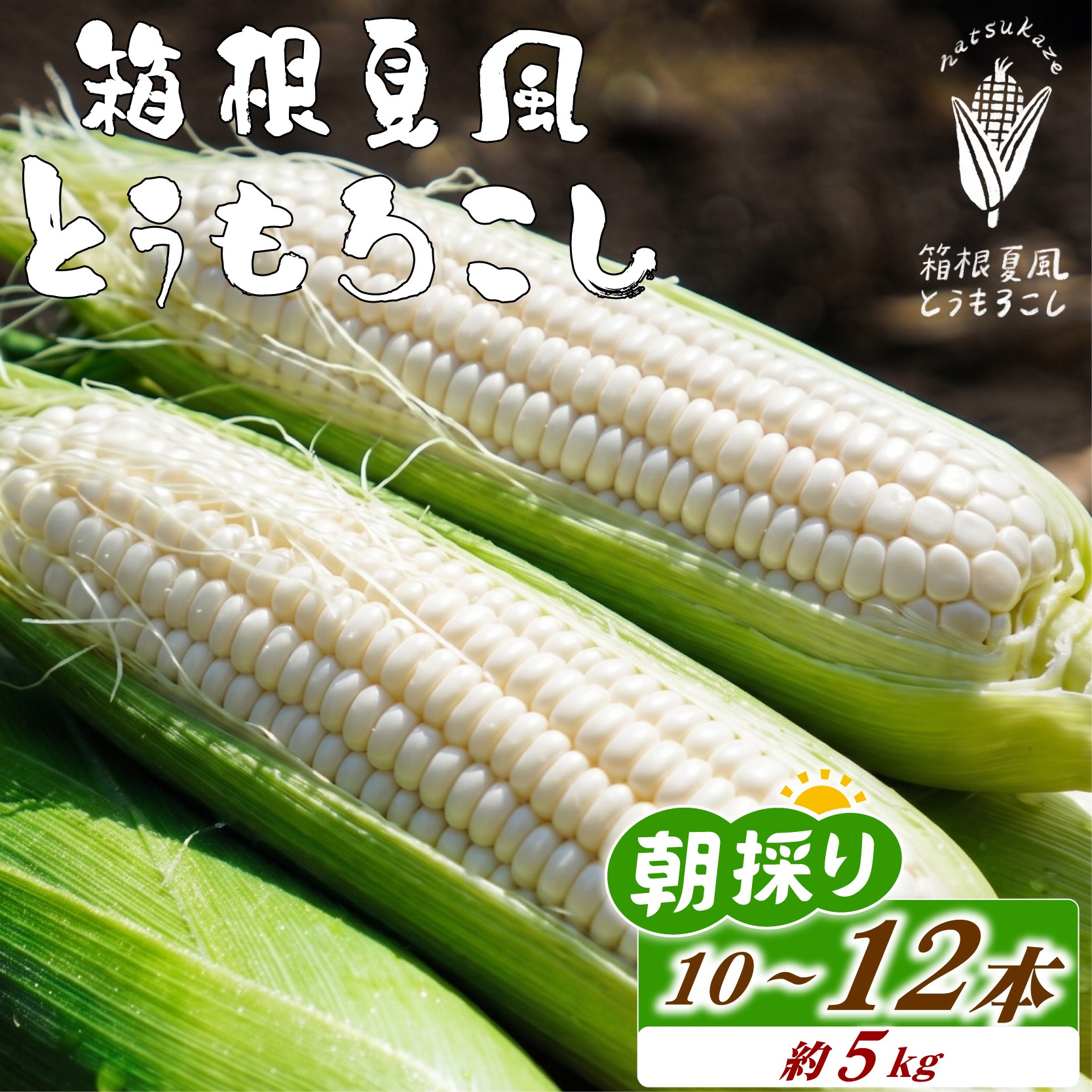
                   【 先行予約 7月上旬～順次発送】 箱根夏風 とうもろこし ホワイト 10本～12本 約5kg 野菜 夏野菜 トウモロコシ コーン 朝採れ 新鮮 甘い スイートコーン 産地直送 地元特産品 ギフト 贈り物  茹で方 旬 収穫時期 三島市 静岡県
                