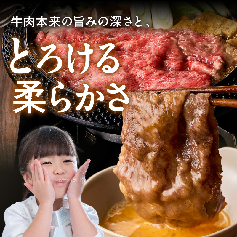 【 佐賀牛 500ｇ 】佐賀牛 艶さし！ しゃぶしゃぶ すき焼き 500ｇ J1366