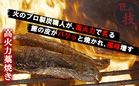 かつおたたき 《黄金燻製》【６回定期便】 かつおのたたき 大きめの節 合計4,560ｇ以上(海洋深層水の塩付き)  土佐 カツオタタキ 訳あり 海鮮 人気 鰹 鰹タタキ ランキング 本場 高知 冷凍