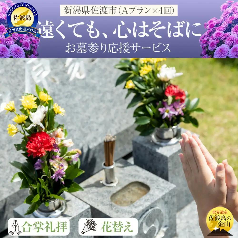 お墓参り代行 サービスA 年4回（ タクシー 送迎1回付き） 佐渡市 | 合掌 清掃（備品整備）お線香 お花のお供え 報告書お届け
