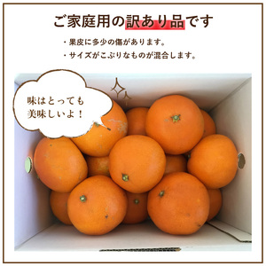 愛媛 みかん 愛果28号 訳あり ご家庭用 5kg あいか 【先行予約 2025年12月上旬から発送】 |  紅まどんな と同品種 柑橘 みかん まどんな ワケアリ 柑橘 みかん 果物  おすすめ 高