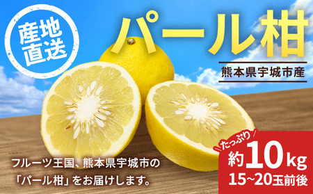 【先行予約】熊本県宇城市産 パール柑 約10kg 【2026年2月上旬から4月中旬発送予定】文旦 柑橘 フルーツ 果物 果実 みかん 蜜柑 ミカン