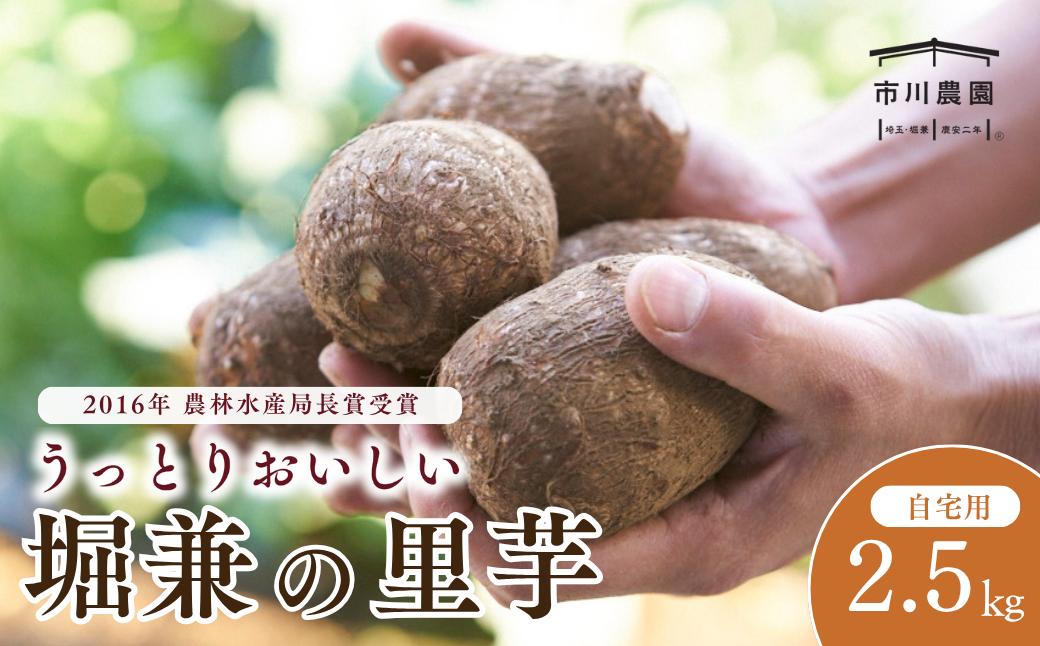 里芋 堀兼の里芋(自宅用) 2.5? | さといも 里いも 里芋 サトイモ 土付 野菜 旬 新鮮 期間限定 季節限定 根菜類 根菜 煮物 芋煮 コロッケ 味噌汁 みそ汁 おでん 産地直送 市川農園 埼玉県 狭山市