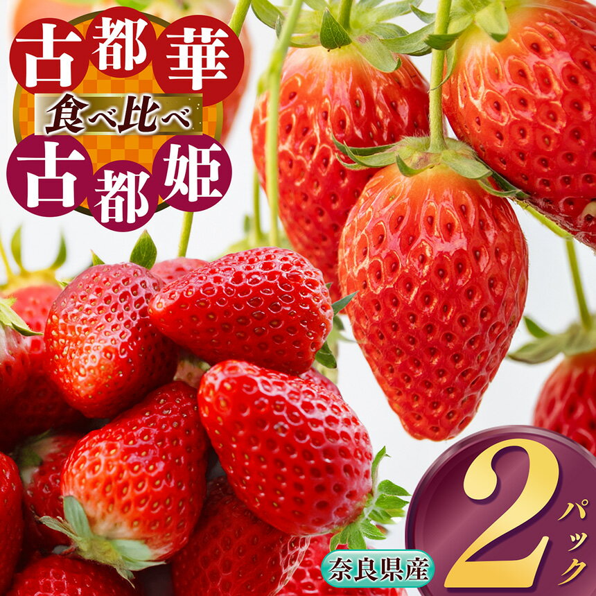 【ふるさと納税】 いちご 【食べ比べ】 平群の『古都華』＋希少『古都姫』（L～2Lサイズ）各1パック 計2パック 阪野農園 | 果物 くだもの フルーツ 苺 イチゴ いちご ストロベリー 古都華 ことか 古都姫 ことひめ 食べ比べ 旬の品種 奈良県 平群町