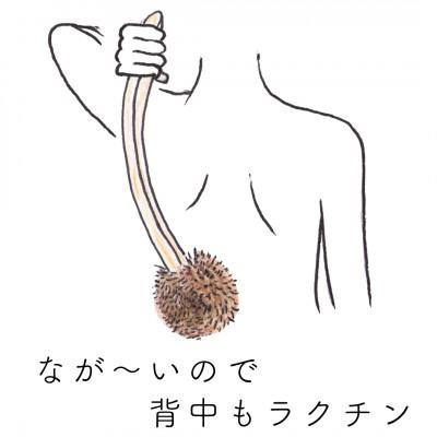 ふるさと納税 高野町 高田耕造商店　しゅろのやさしいたわし　からだ用　檜柄　長 |  | 03