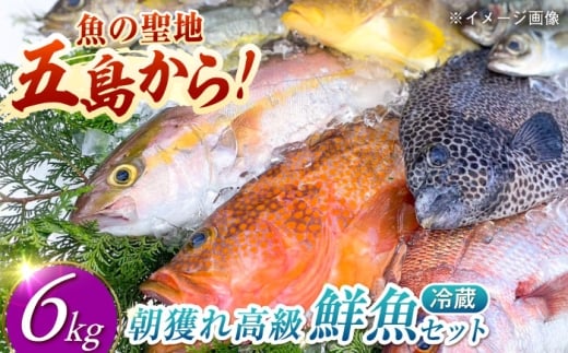 朝獲れ高級鮮魚セット6kg【五島列島直送】五島市/鯛福丸水産[PDP004]鮮魚BOX 詰め合わせ 詰合せ せんぎょ 冷蔵 刺身 魚 海鮮 直送 さかな 新鮮人気 おすすめ