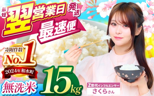 【 最短 翌営業日 ～ 7営業日で発送 】【 チョイス限定 】 熊本県産 ほたるの灯り 無洗米 選べる 15kg | 令和7年産 小分け 5kg 単位 5kg 10kg 15kg 20kg 25kg 30kg 熊本県 熊本 くまもと 和水町 なごみ 訳あり 規格外 不揃い 単一米 単一原料米 ブレンド 複数原料米 こめ 米 ごはん 銘柄米 日本遺産 菊池川 返礼品 SDGs  無洗米 独自ブレンド