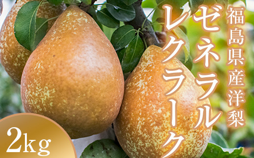 阿部農縁　希少な洋梨ゼネラルレクラーク2kg(4～6玉)　福島の洋梨 F7X-0025