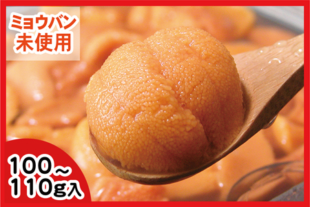 【年内配送可】エゾバフンウニ(黄色)塩水パック100～110g×1P[10月下旬以降発送] C-56019