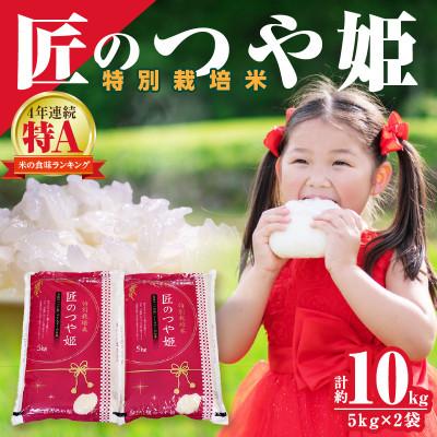 ふるさと納税 浜田市 【令和7年産】特別栽培米「匠のつや姫」　5kg×2袋