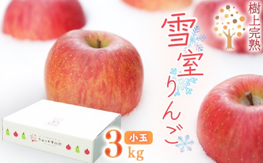 
                  令和8年産 雪室りんご 3kg 「樹上完熟 ふじりんご」 小玉サイズ 2026年産 山形県産 【2027年1月上旬頃から3月頃 発送予定】　015-B-NG001
                