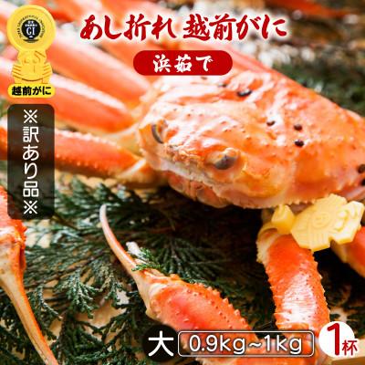 ふるさと納税 越前町 地元鮮魚店厳選 【訳あり】 ≪浜茹で≫ 足折れ 越前がに 大サイズ 1杯【1月発送分】