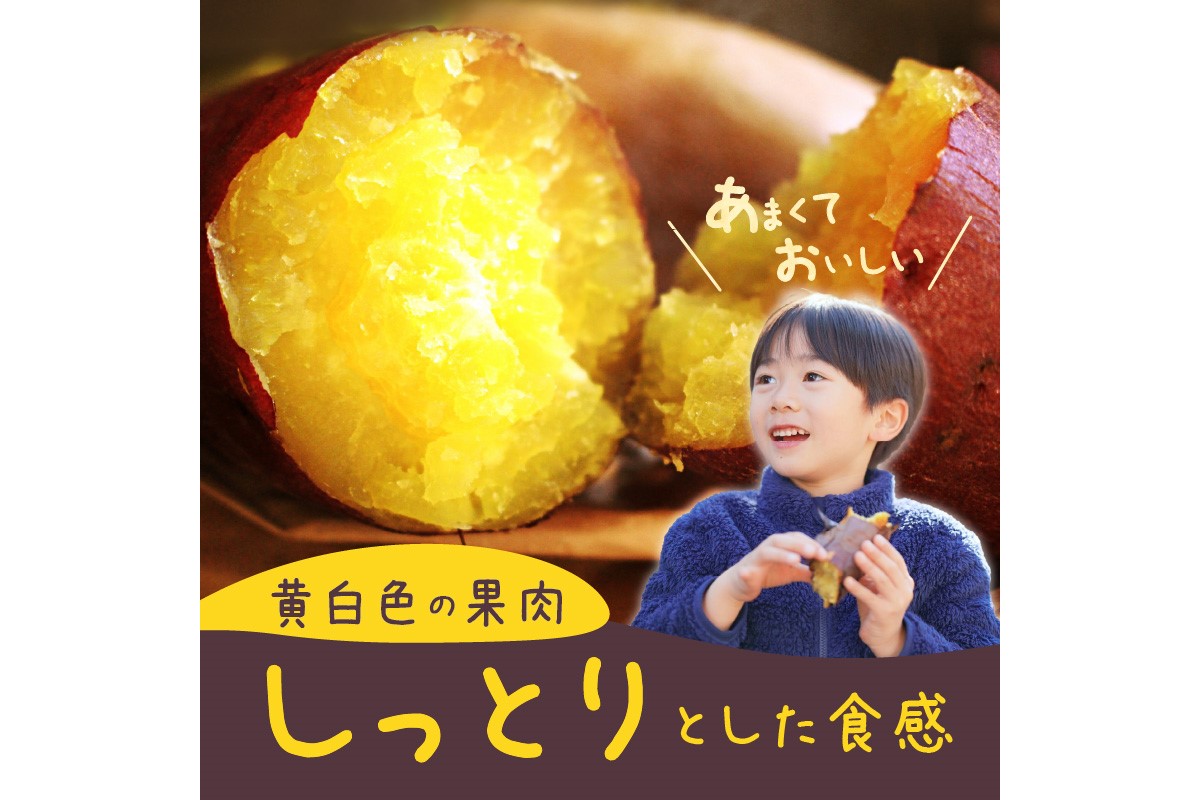 【数量限定50】農家直送 令和7年産　さつまいも3kgセット　SJ00008