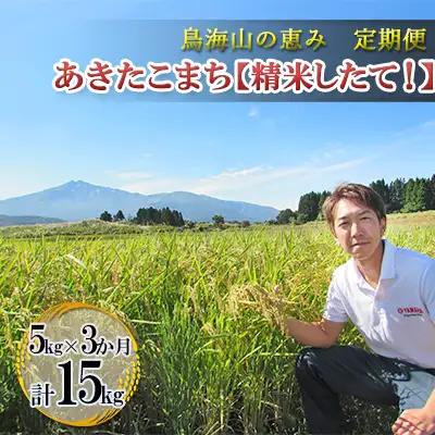 【先行予約】《定期便 3か月》 あきたこまち 5kg  精米 あきたこまち R8年産